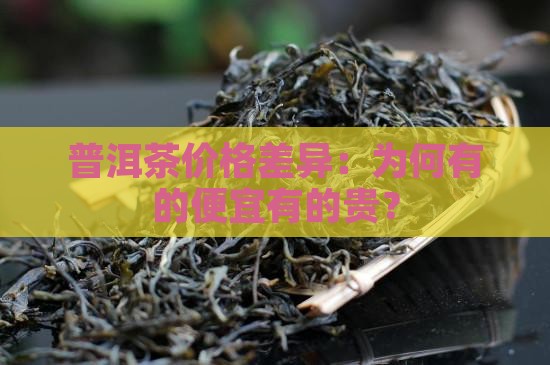 普洱茶价格差异:为何有的便宜有的贵? 普洱茶价格差异:为何有的便宜有的贵?