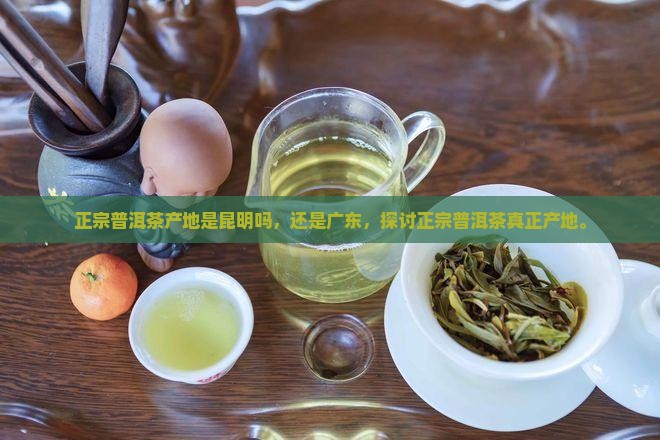 正宗普洱茶产地是昆明吗，还是广东，探讨正宗普洱茶真正产地。