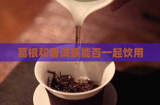 葛根和普洱茶能否一起饮用