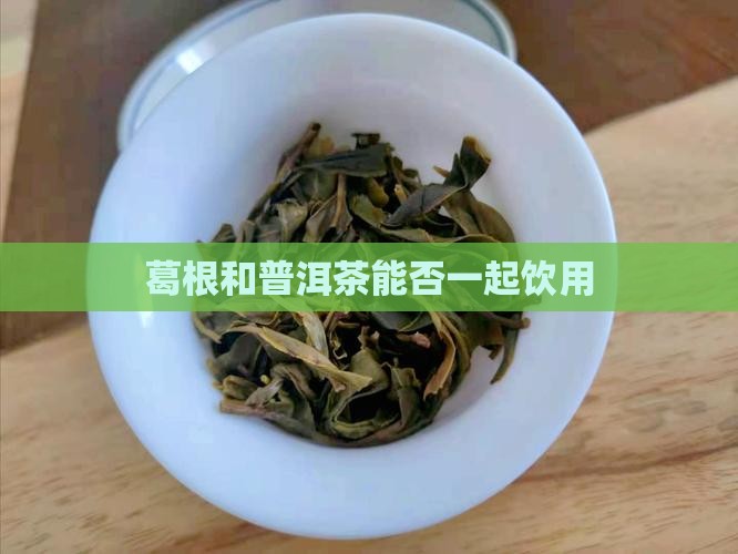 葛根和普洱茶能否一起饮用