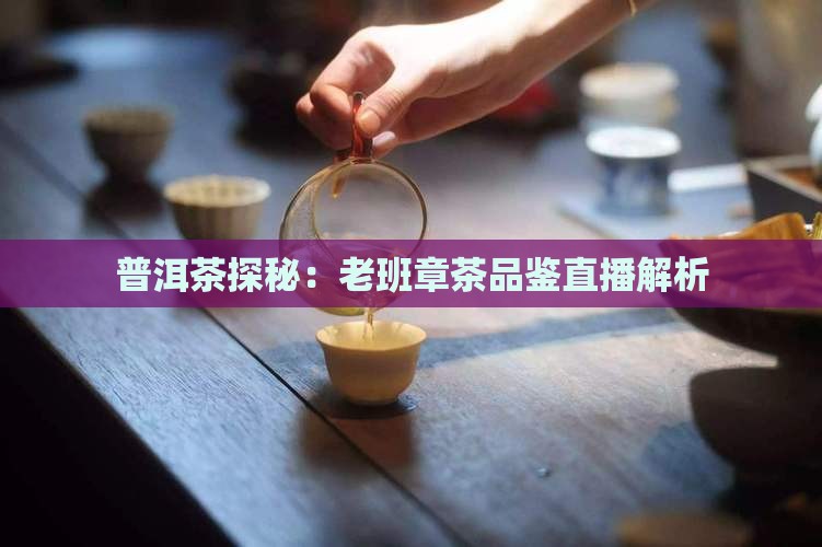 普洱茶探秘：老班章茶品鉴直播解析