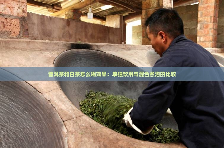 普洱茶和白茶怎么喝效果：单独饮用与混合煮泡的比较