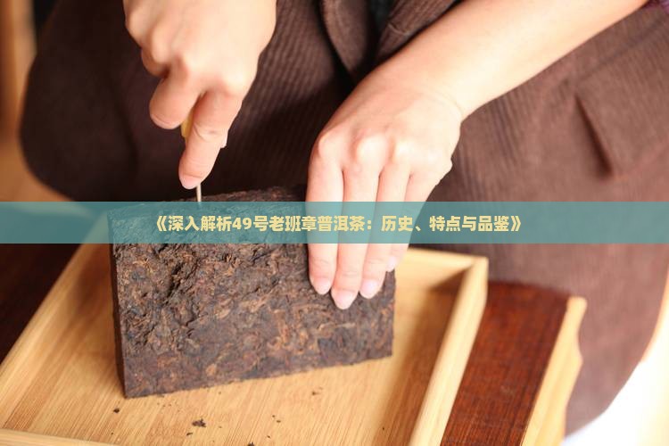 《深入解析49号老班章普洱茶：历史、特点与品鉴》