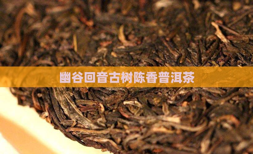 幽谷回音古树陈香普洱茶