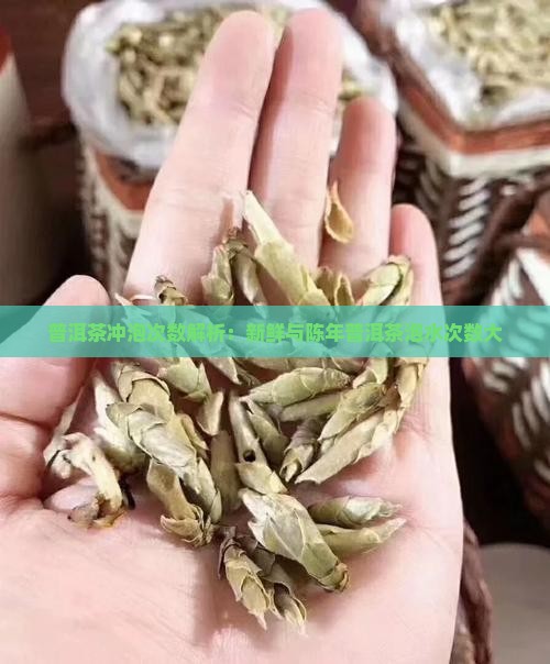 普洱茶冲泡次数解析：新鲜与陈年普洱茶泡水次数大