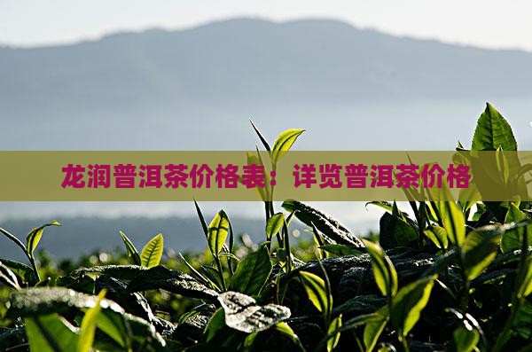 龙润普洱茶价格表：详览普洱茶价格