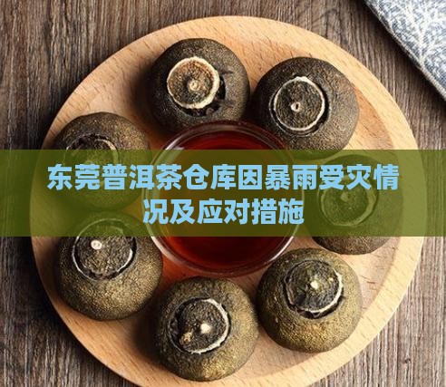 东莞普洱茶仓库因暴雨受灾情况及应对措施