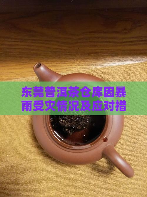 东莞普洱茶仓库因暴雨受灾情况及应对措施
