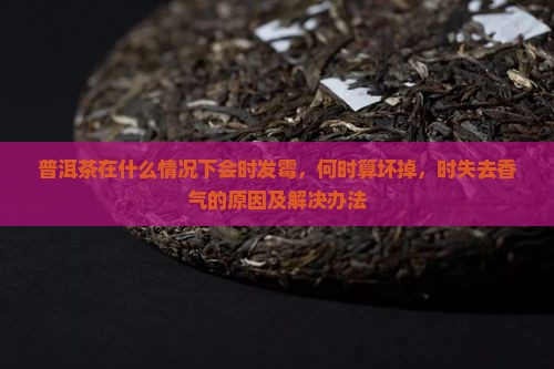 普洱茶在什么情况下会时发霉，何时算坏掉，时失去香气的原因及解决办法