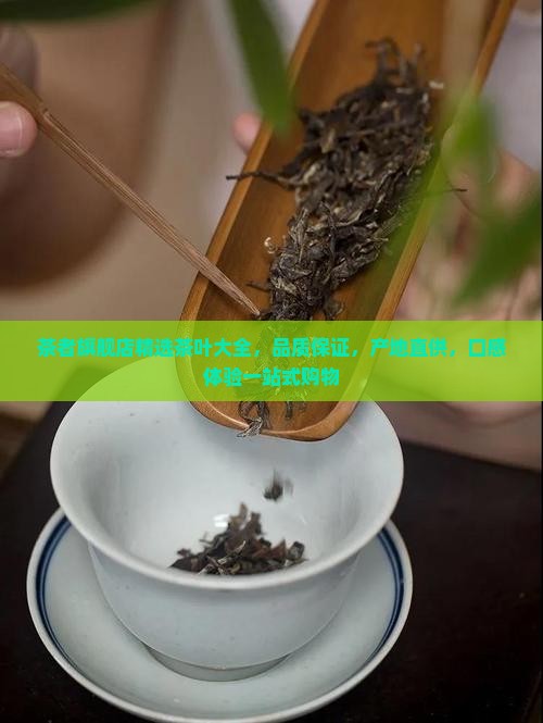茶者旗舰店精选茶叶大全，品质保证，产地直供，口感体验一站式购物