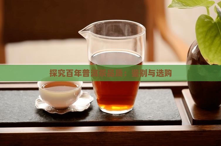 探究百年普洱茶品质：鉴别与选购