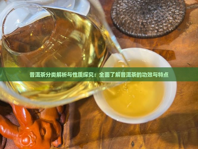 普洱茶分类解析与性质探究：全面了解普洱茶的功效与特点