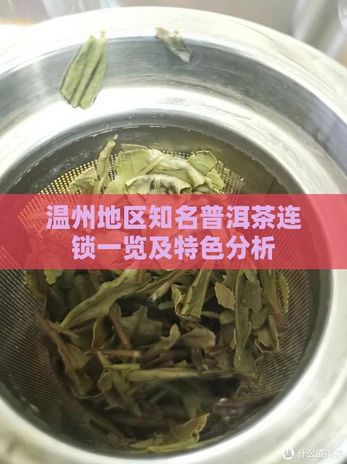 温州地区知名普洱茶连锁一览及特色分析