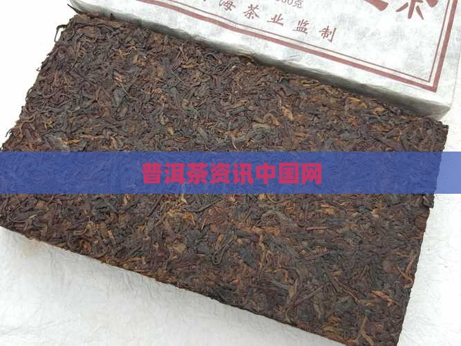 普洱茶资讯中国网