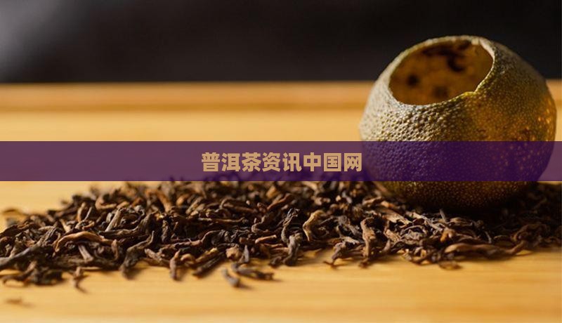普洱茶资讯中国网