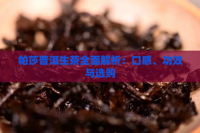 帕莎普洱生茶全面解析：口感、功效与选购