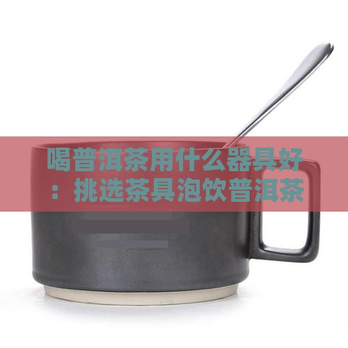 喝普洱茶用什么器具好：挑选茶具泡饮普洱茶