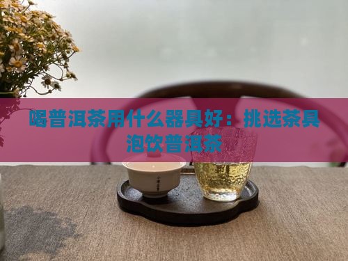 喝普洱茶用什么器具好：挑选茶具泡饮普洱茶