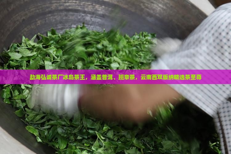 勐海弘诚茶厂冰岛茶王，涵盖普洱、班章茶，云南西双版纳精选茶至尊