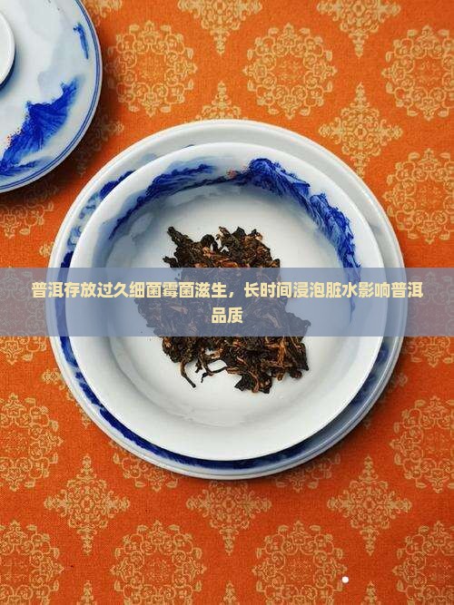 普洱存放过久细菌霉菌滋生，长时间浸泡脏水影响普洱品质