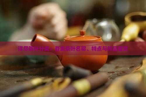 详尽茶叶分类：各类茶叶名称、特点与样品鉴赏