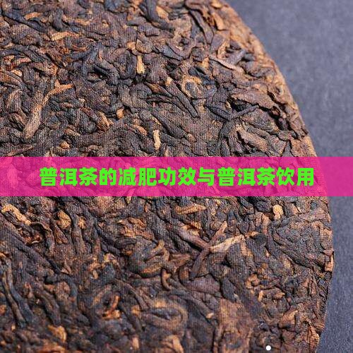 普洱茶的减肥功效与普洱茶饮用