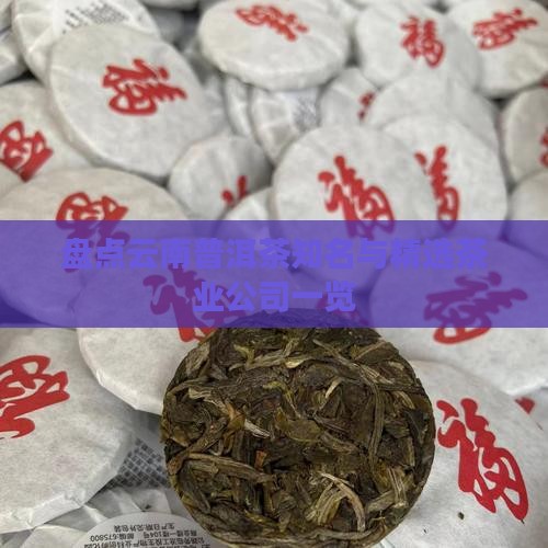 盘点云南普洱茶知名与精选茶业公司一览