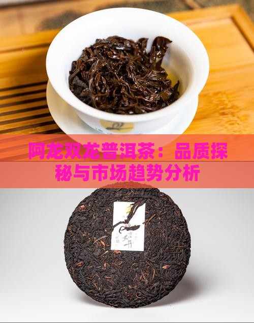 阿龙双龙普洱茶：品质探秘与市场趋势分析