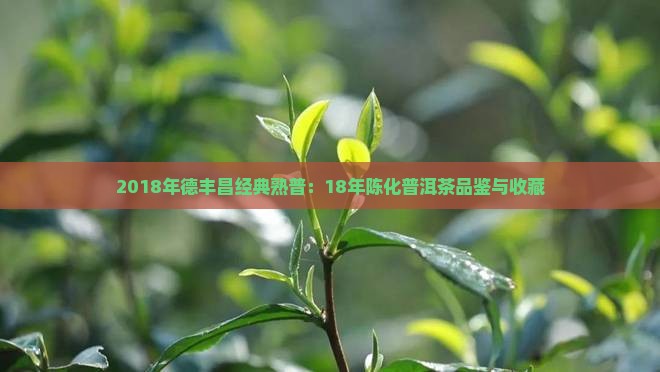 2018年德丰昌经典熟普：18年陈化普洱茶品鉴与收藏