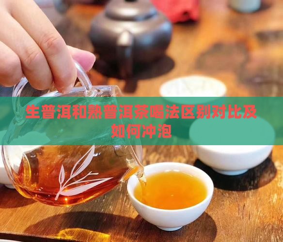 生普洱和熟普洱茶喝法区别对比及如何冲泡