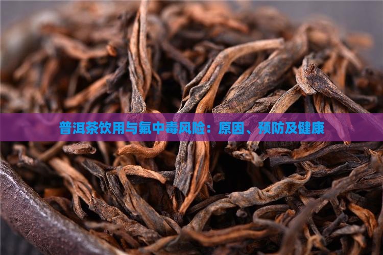 普洱茶饮用与氟中毒风险：原因、预防及健康