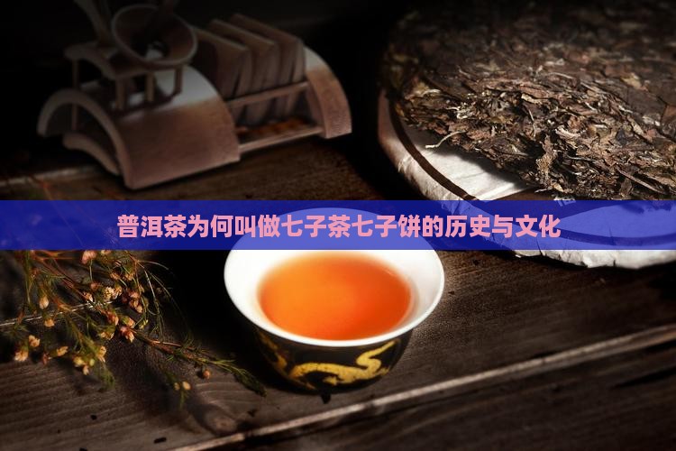 普洱茶为何叫做七子茶七子饼的历史与文化