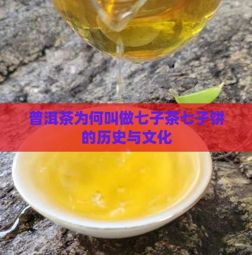 普洱茶为何叫做七子茶七子饼的历史与文化
