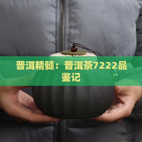 普洱精髓：普洱茶7222品鉴记