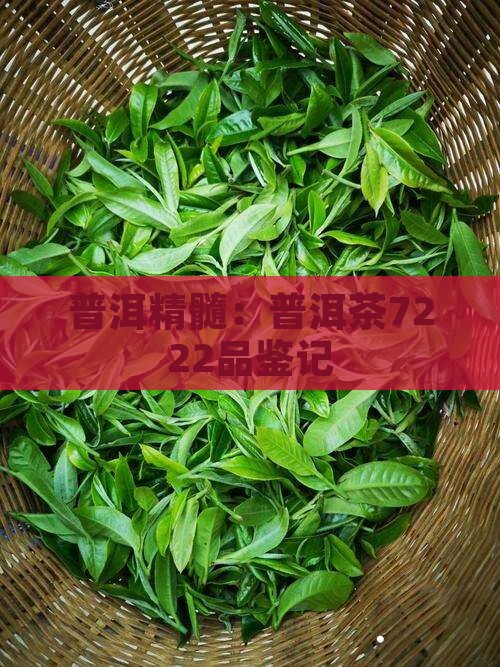 普洱精髓：普洱茶7222品鉴记