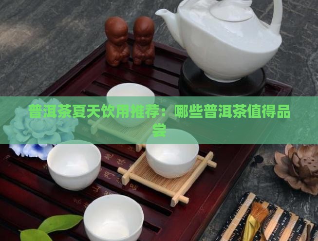 普洱茶夏天饮用推荐：哪些普洱茶值得品尝