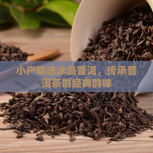 小户精选冰岛普洱，传承普洱茶的经典韵味