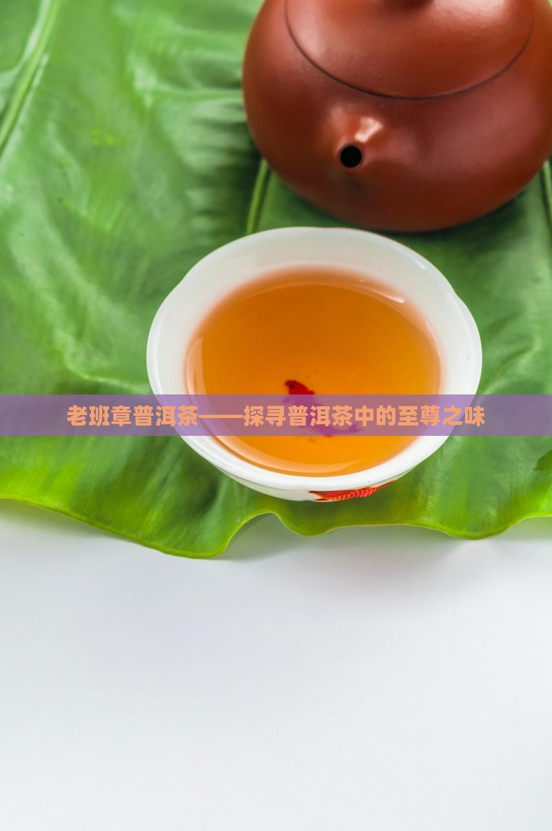 老班章普洱茶——探寻普洱茶中的至尊之味