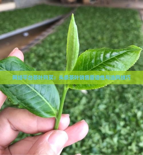 网络平台茶叶购买：头条茶叶销售靠谱性与选购技巧