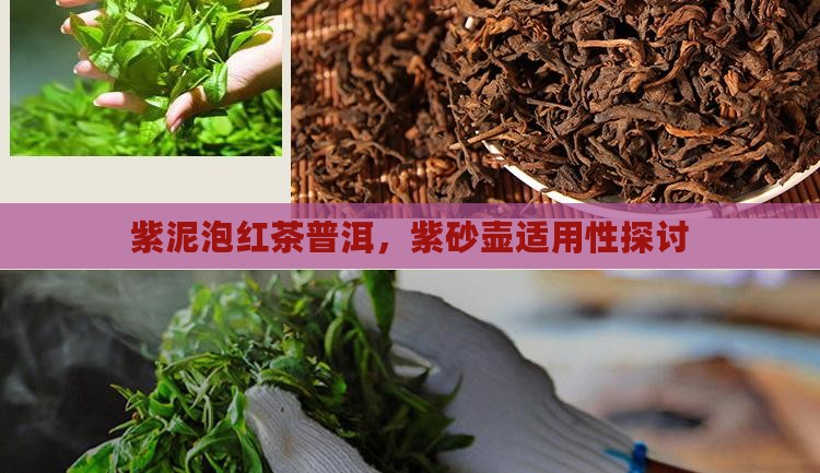 紫泥泡红茶普洱,紫砂壶适用性探讨 紫泥泡红茶普洱,紫砂壶适用性探讨