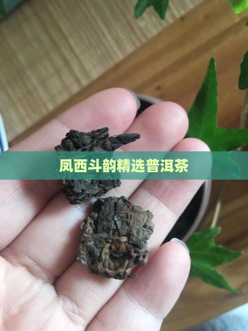 凤西斗韵精选普洱茶
