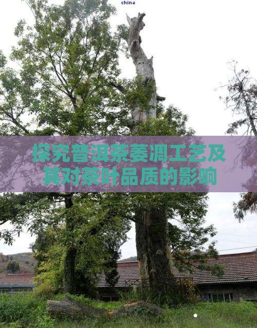 探究普洱茶萎凋工艺及其对茶叶品质的影响