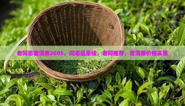 老同志普洱茶2005，同志品质佳，老同推荐，普洱茶价格实惠
