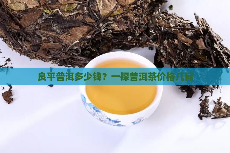 良平普洱多少钱？一探普洱茶价格几何