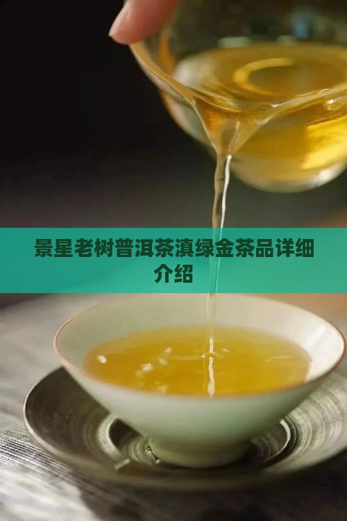 景星老树普洱茶滇绿金茶品详细介绍