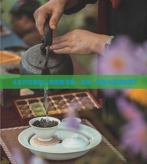 《全方位解析小青柑普洱茶：风味、功效与品饮体验》