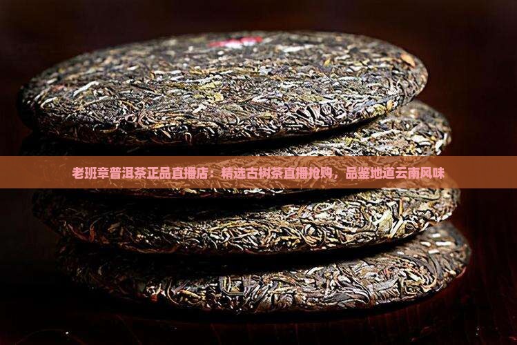 老班章普洱茶正品直播店：精选古树茶直播抢购，品鉴地道云南风味