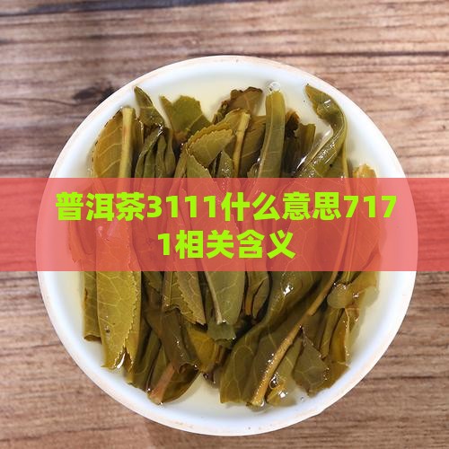 普洱茶3111什么意思7171相关含义