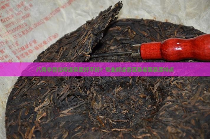 八角亭昔归帝道茶质好不好？专业解读普洱茶老寨茶质特点