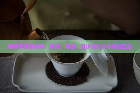 梧桐子泡茶功效：作用、禁忌、泡水喝方法与好处汇总